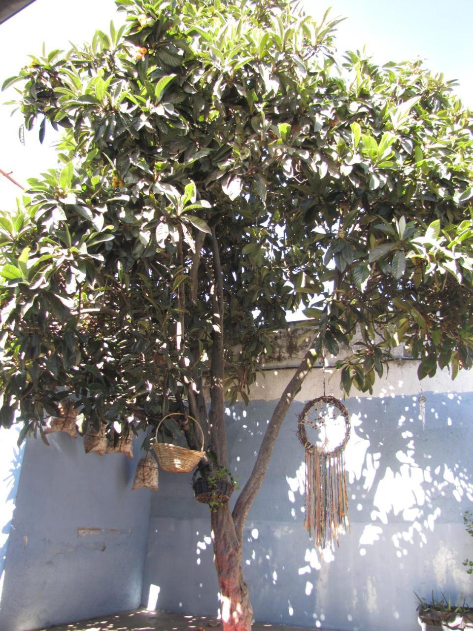 מלון קצאלטננגו Casa Encuentro מראה חיצוני תמונה