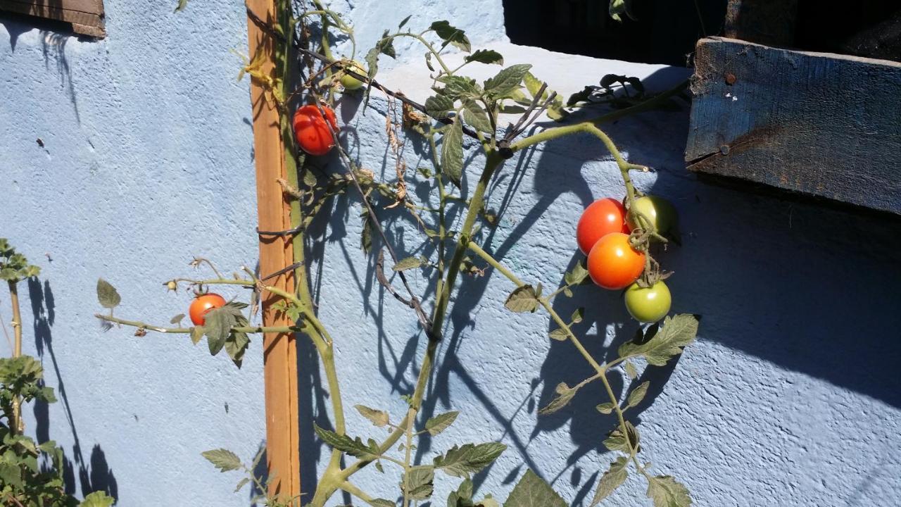 מלון קצאלטננגו Casa Encuentro מראה חיצוני תמונה
