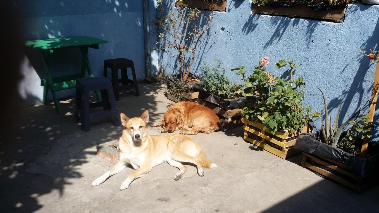 מלון קצאלטננגו Casa Encuentro מראה חיצוני תמונה